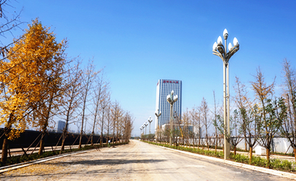 陜西西咸新區(qū)—“玉蘭燈”&“雙葉燈”項目
