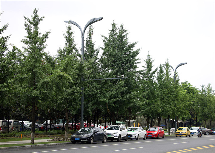 與電子警察合桿2 與電子警察合桿2