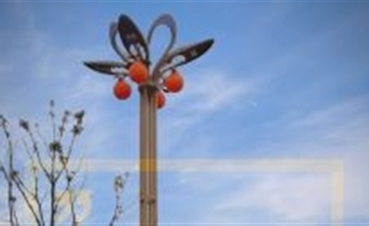 你好，2022！